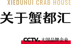 公司简介